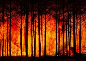 Cambio climático