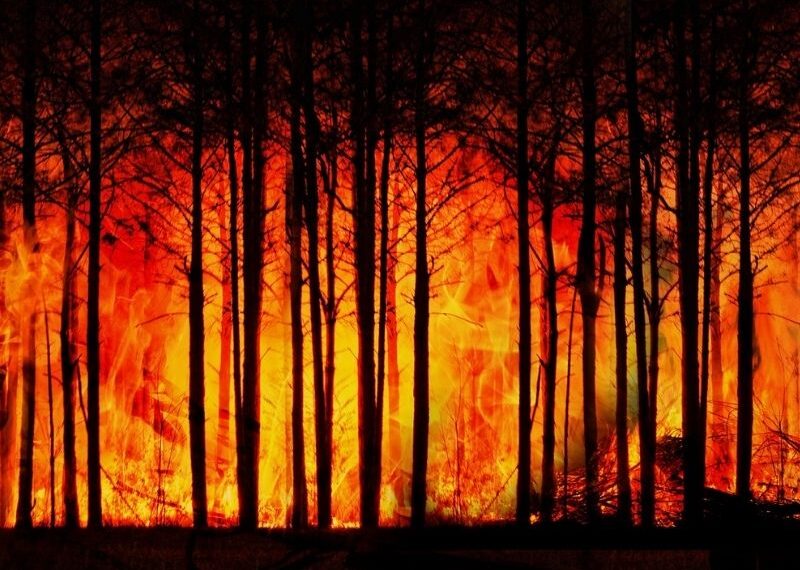 Cambio climático