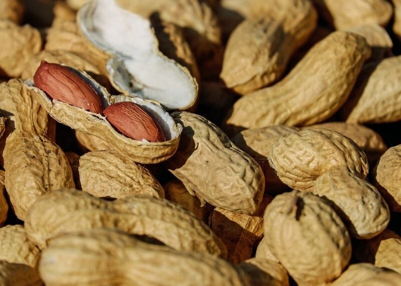 Cacahuate