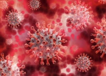 Coronavirus