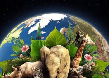 dia de la tierra-fauna silvestre