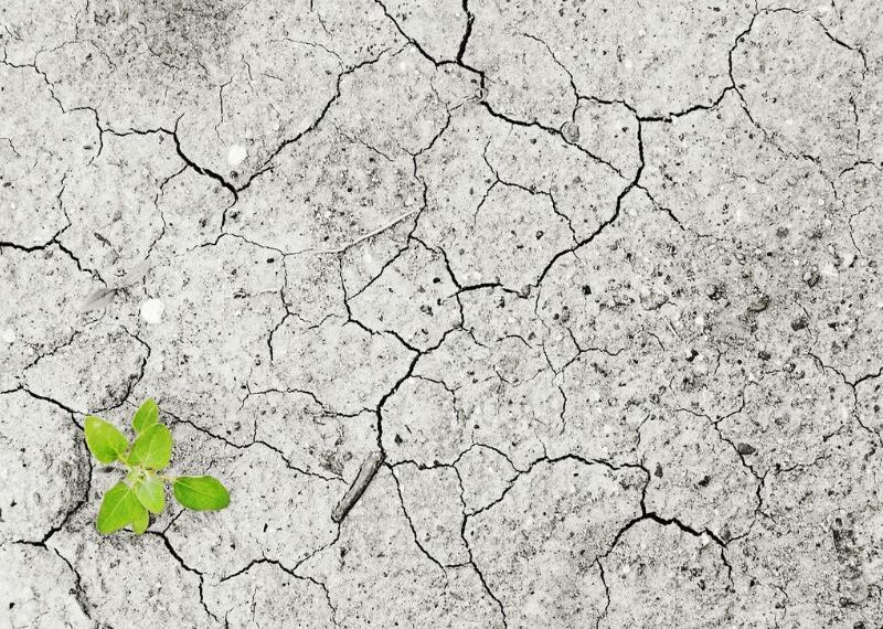 Cambio climático