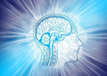 Temperatura del cerebro
