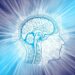 Temperatura del cerebro
