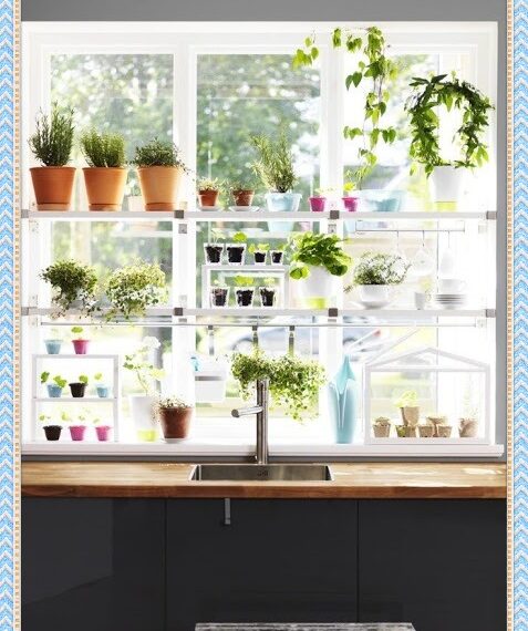 Decoracion de ventana