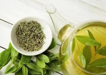 beneficios del te verde