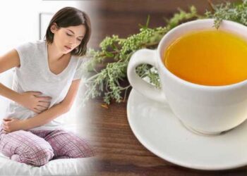 té de ajenjo