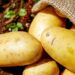 Patatas