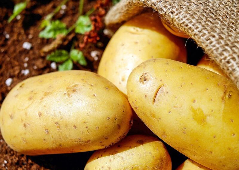 Patatas
