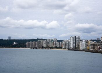 incendio en Viña del Mar
