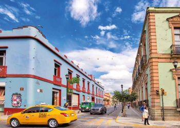 Cómo moverse dentro de Oaxaca