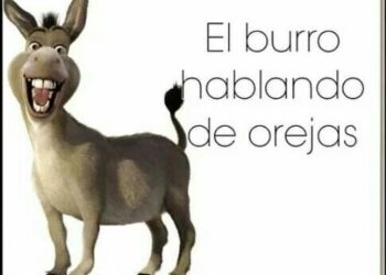 burro dicho