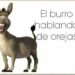 burro dicho