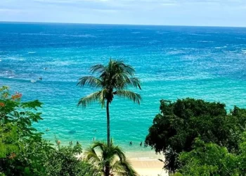 Qué playa es más barata en Oaxaca