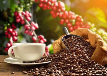 Descubre la Ruta del Café de Veracruz: Los secretos tras su origen y producción.