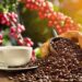 Descubre la Ruta del Café de Veracruz: Los secretos tras su origen y producción.