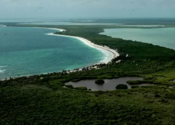 Descubre la belleza natural de Sian Ka'an en una caminata inolvidable