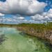 Descubre la biodiversidad de Sian Ka'an en una caminata de ensueño