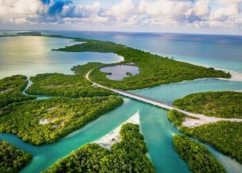 Descubre la belleza natural de Sian Ka'an en Caminata por la Reserva de la Biósfera