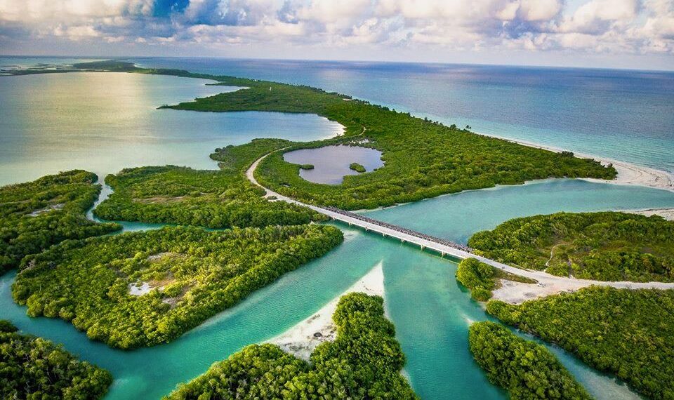 Descubre la belleza natural de Sian Ka'an en Caminata por la Reserva de la Biósfera