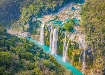 paruqe huasteca potosina