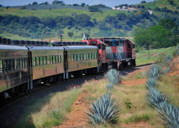 Descubre la Ruta del Tequila: Un Viaje Inolvidable por Jalisco