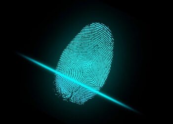 Más allá de la contraseña: qué es un sistema de verificación de datos de identidad