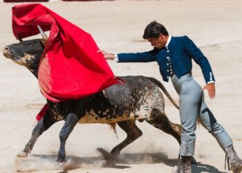 Tauromaquia