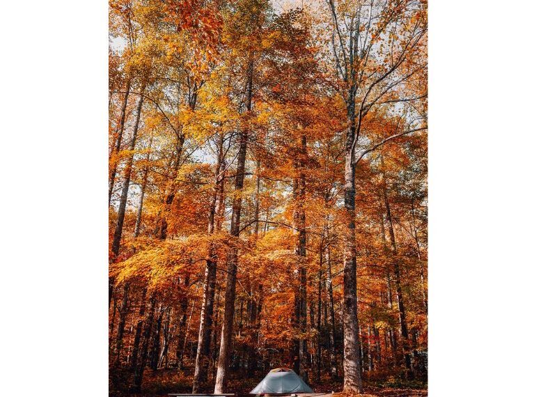 otoño
