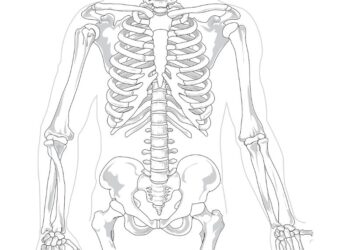 Osteoporosis