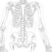 Osteoporosis