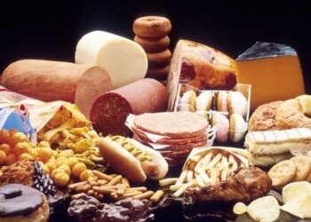alimentos