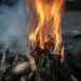 Entendiendo los Pregon Wildfires: Causas, Impactos y Medidas de Protección