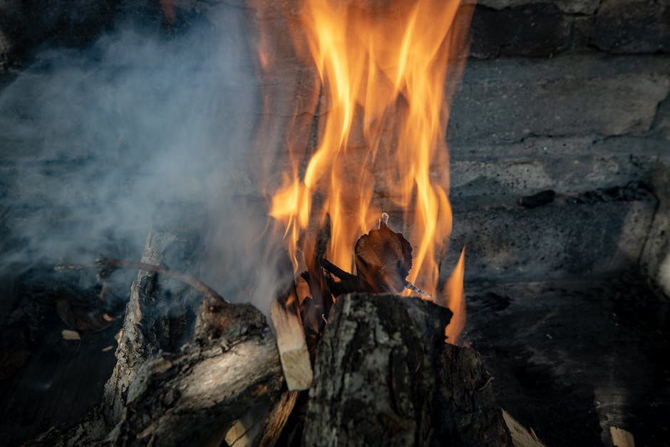ℹ Entendiendo los Pregon Wildfires: Causas, Impactos y Medidas de Protección - Vimarsana News