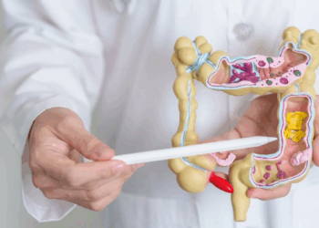 ¿Cómo mantener un colon limpio y un sistema digestivo saludable?