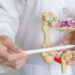 ¿Cómo mantener un colon limpio y un sistema digestivo saludable?