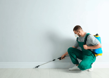 Fumigación para casas en Lima: ¿Qué esperar y cómo prepararse?